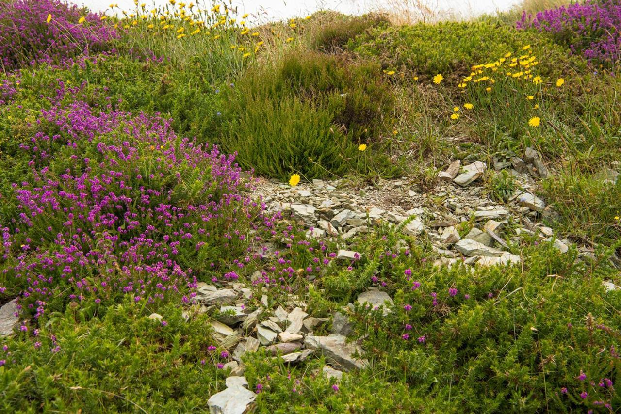 Ring Of Kerry - Einmaliger Blick Auf Skelligs Apartment Clynacartan Exterior photo